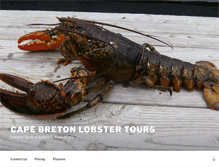 Tablet Screenshot of cblobstertours.com